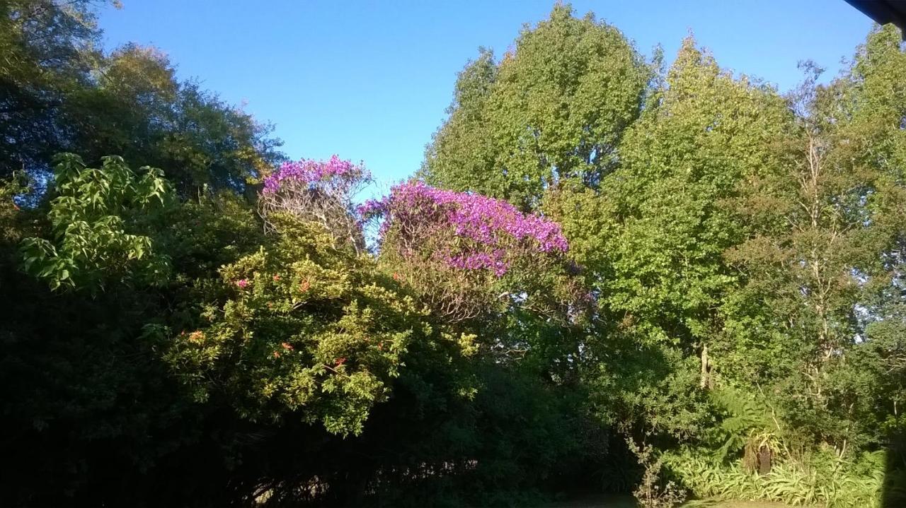 Serenity Cottage Graskop Εξωτερικό φωτογραφία